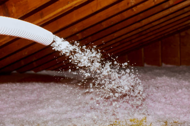 Best Attic Insulation Installation  in Murphys Estates, SC