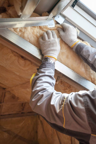 Best Best Insulation Companies  in Murphys Estates, SC