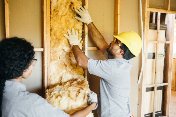 Best Insulation Contractors for Homes  in Murphys Estates, SC